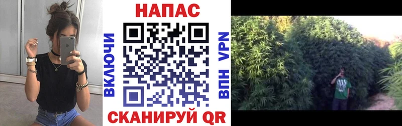 Конопля марихуана Краснослободск